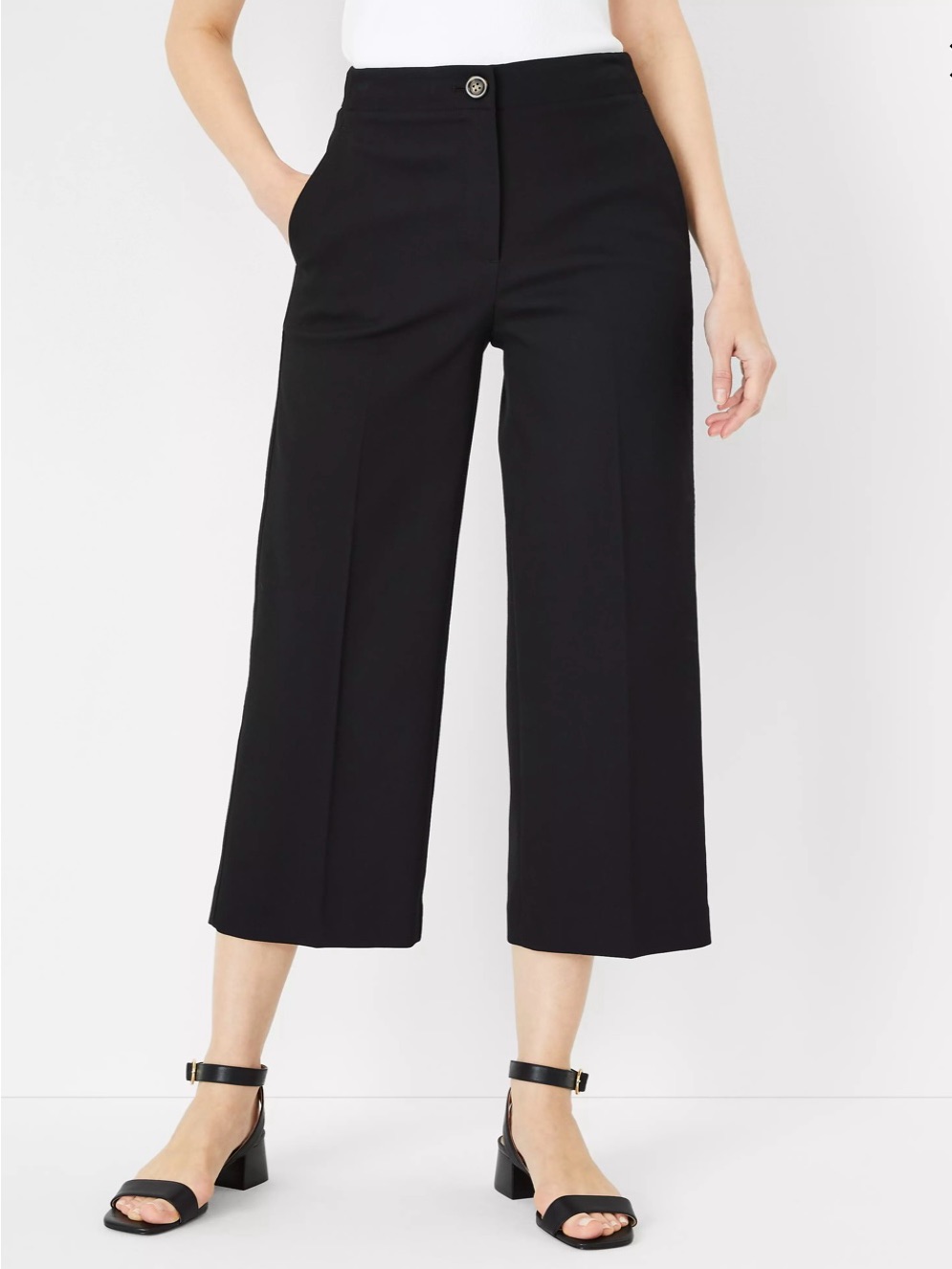 Ann Taylor Black Kate Wide-Leg Pants